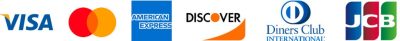 Pay with Credit Debit Card 1024x104 1 - Jake Paul Shop